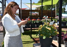 Even fotootje schieten.